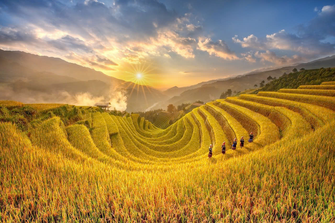 Hoạt động doanh nghiệp Đông Dược Thế Gia