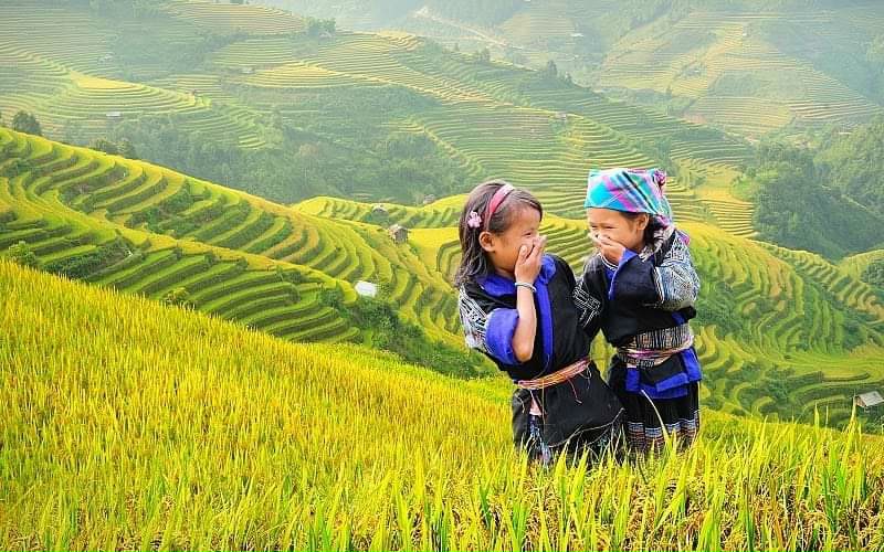 Toàn cảnh vùng nguyên liệu Đông Dược Thế Gia